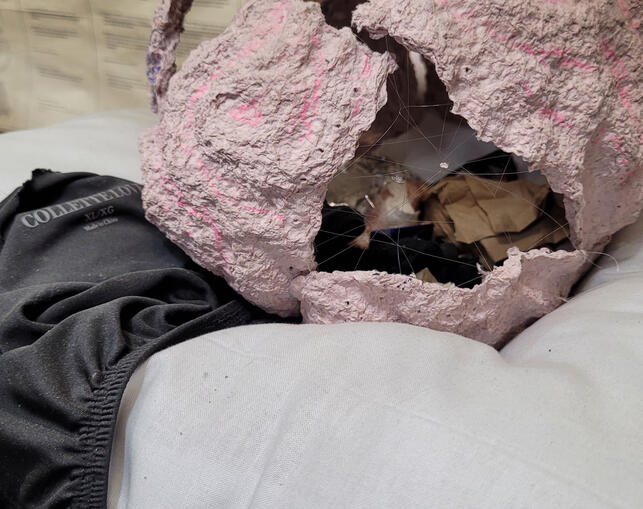 Detail Inside My Head and Bed