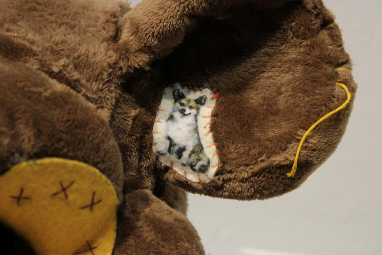 Detail Honey's Visage