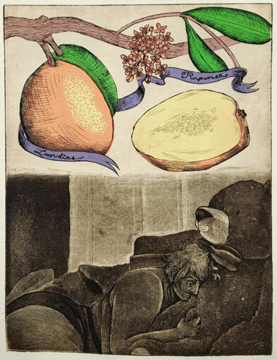 Hogs Deserve Love Too (Sondias Purpurea)