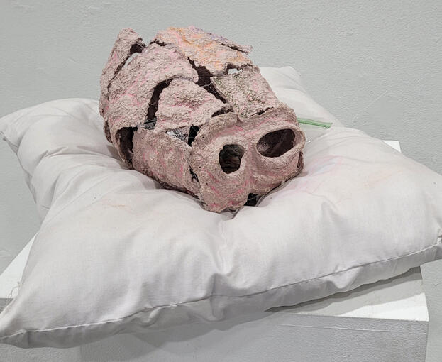 Inside My Head and Bed